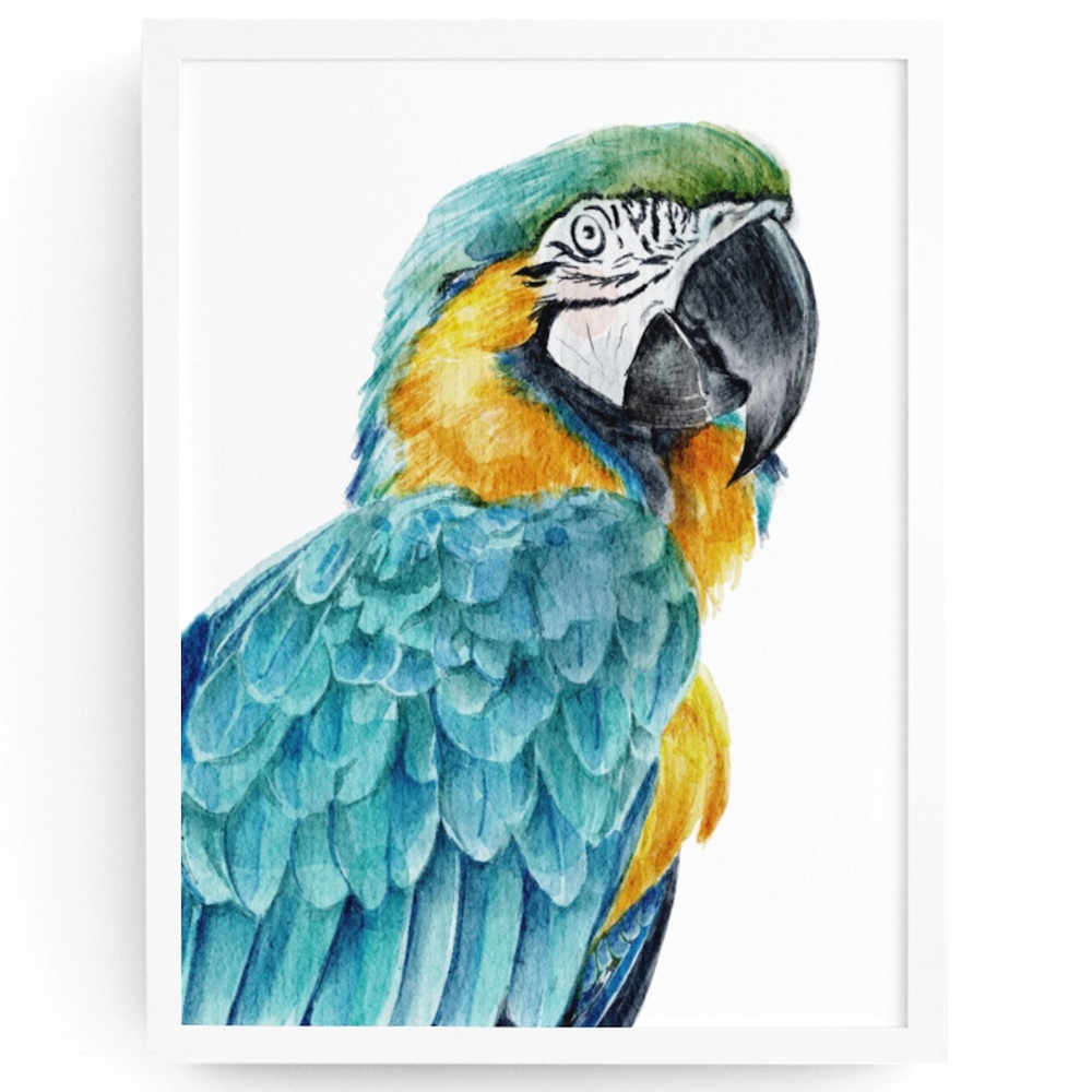 Blue Macaw Parrot Bird Watercolor Wall Art Print Poster Unframed - Picture 1 of 8